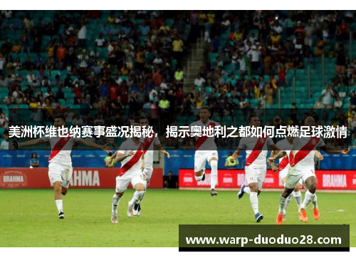 美洲杯维也纳赛事盛况揭秘，揭示奥地利之都如何点燃足球激情